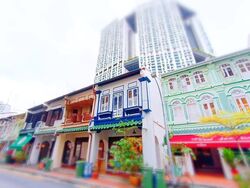 Duxton Road (D2), Shop House #560825121